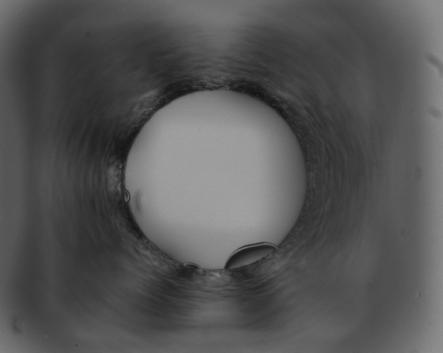 X0000092310768200710051238
