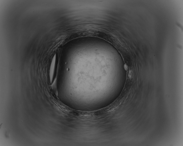 X0000092310771200710051238