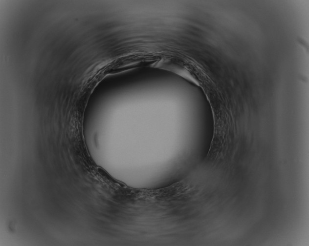 X0000092310773200710051238