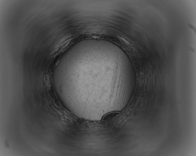 X0000092310774200710051238