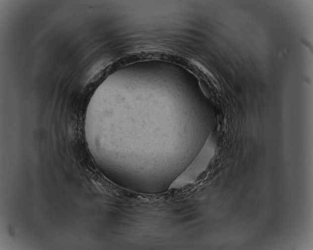 X0000092310775200710051238