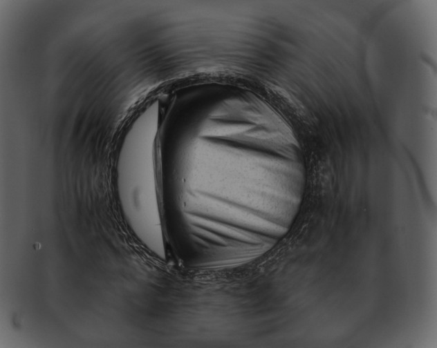 X0000092310776200710051238