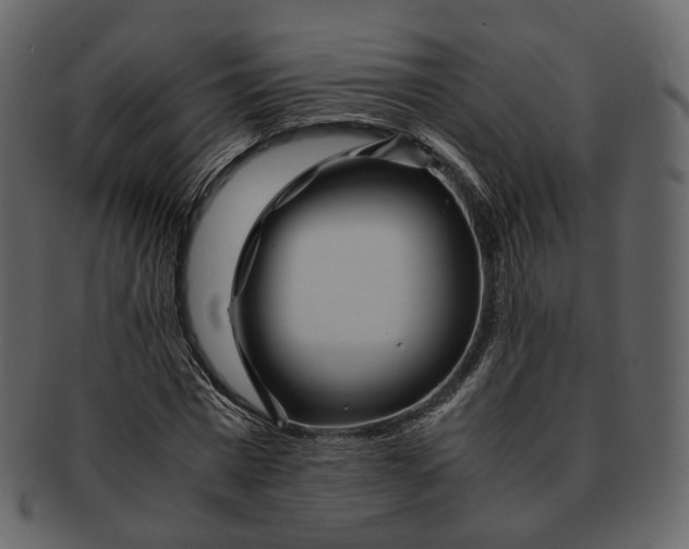 X0000092310777200710051238