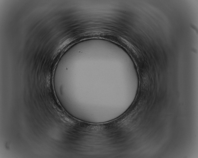 X0000092310778200710051238