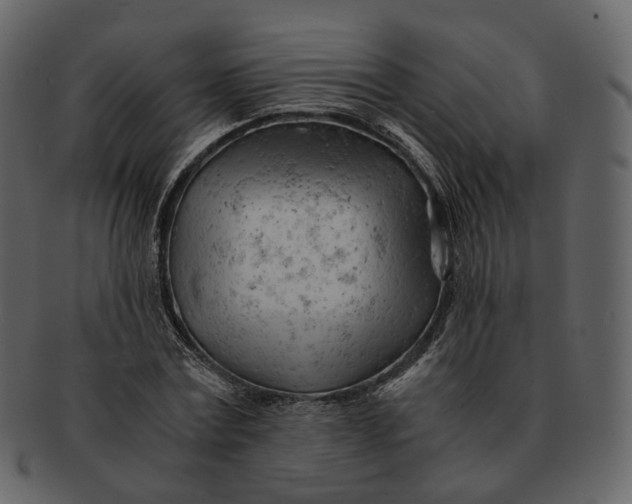 X0000092310779200710051238