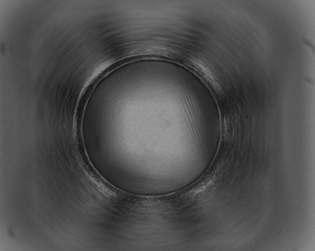 X0000092310780200710051238