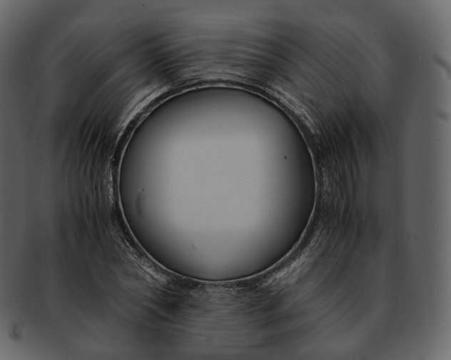 X0000092310782200710051237