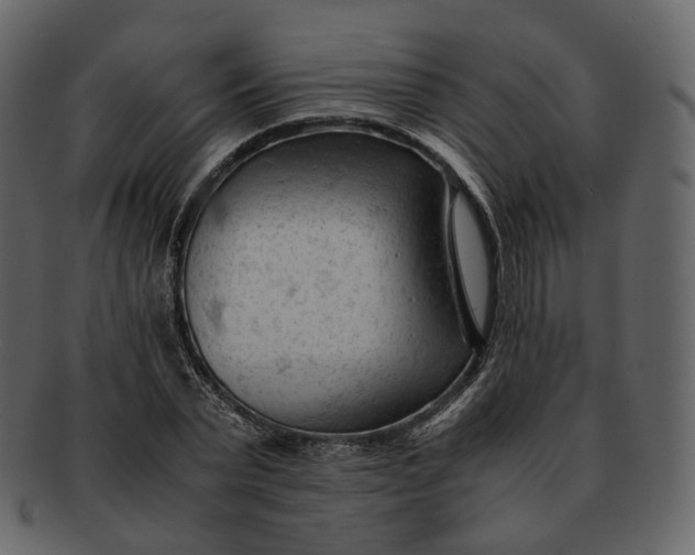 X0000092310783200710051237