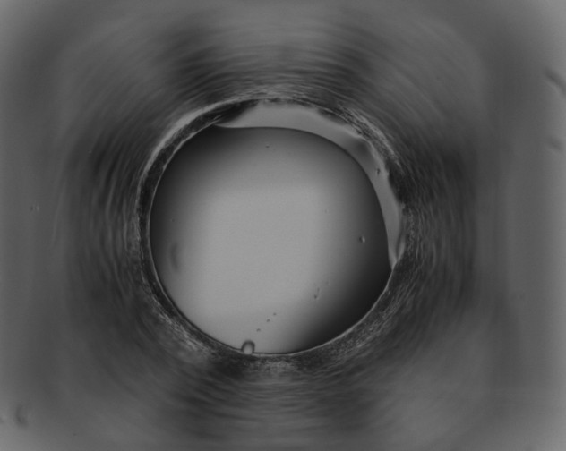 X0000092310784200710051237