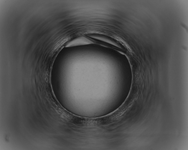 X0000092310785200710051237