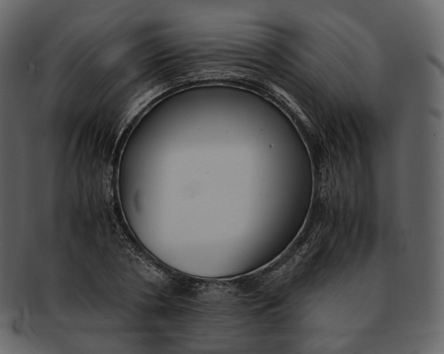 X0000092310786200710051237