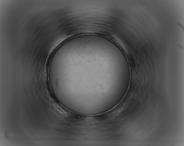X0000092310787200710051237
