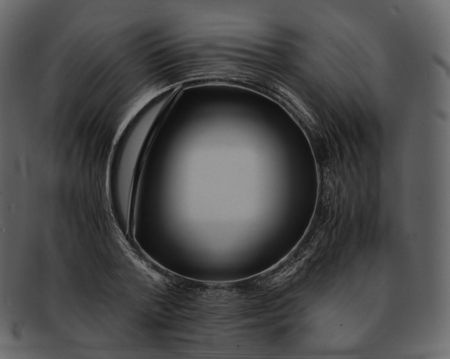 X0000092310788200710051237