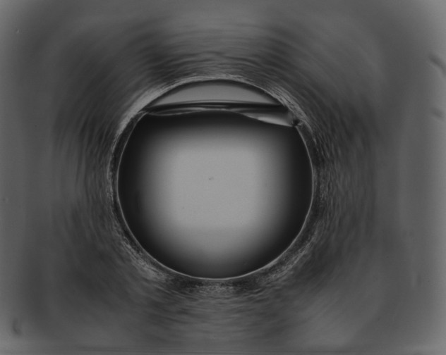 X0000092310789200710051237