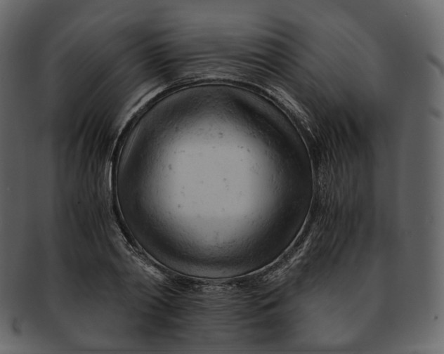 X0000092310790200710051237