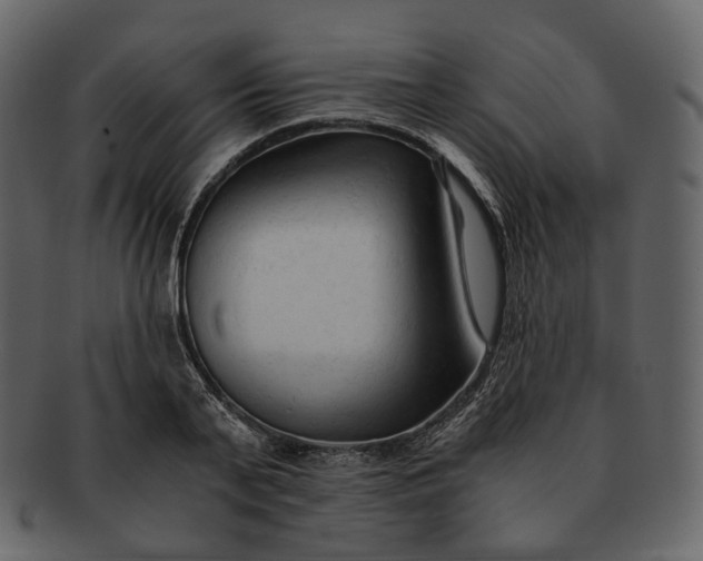 X0000092310791200710051237