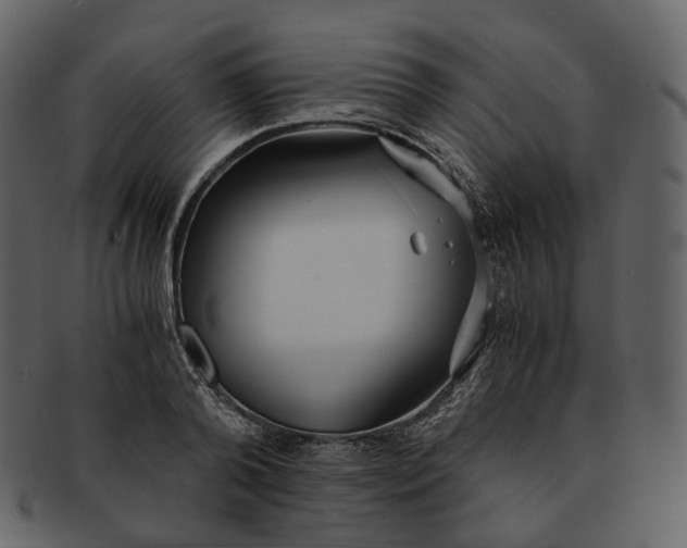 X0000092310792200710051237
