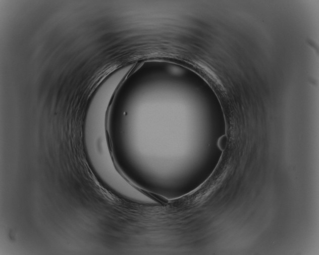 X0000092310793200710051237