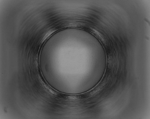 X0000092310794200710051237