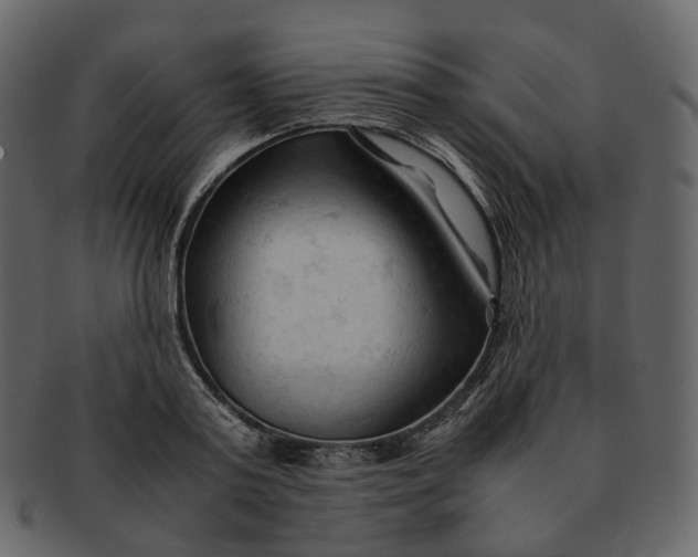 X0000092310795200710051237