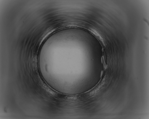 X0000092310798200710051237