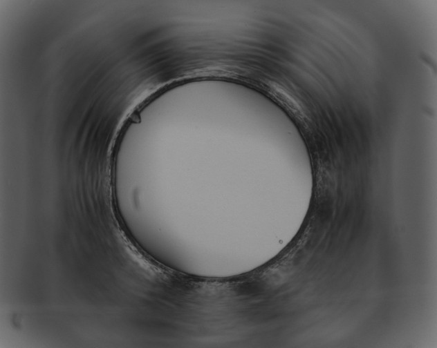 X0000092310800200710051237