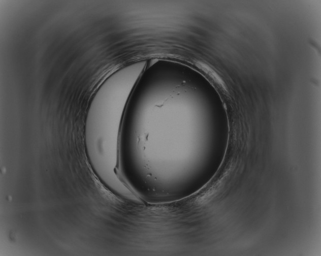 X0000092310801200710051237