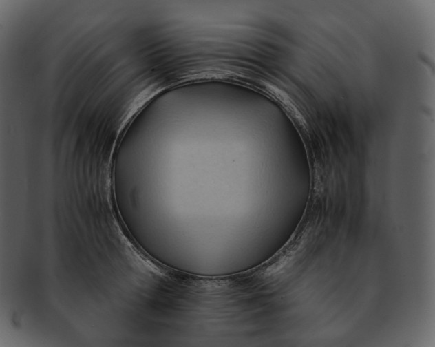 X0000092310802200710051237