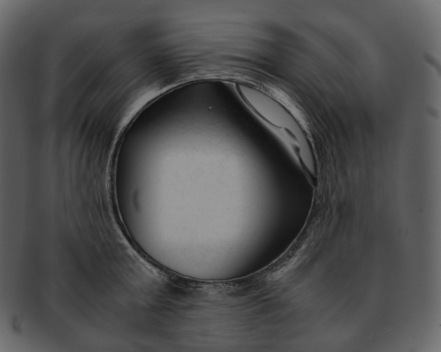 X0000092310803200710051237