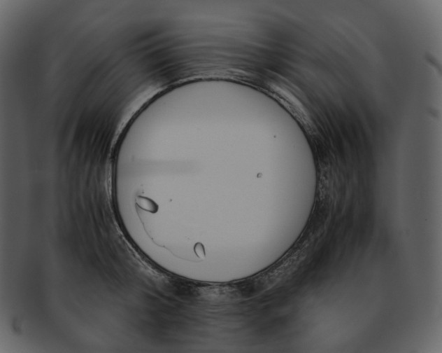 X0000092310804200710051237
