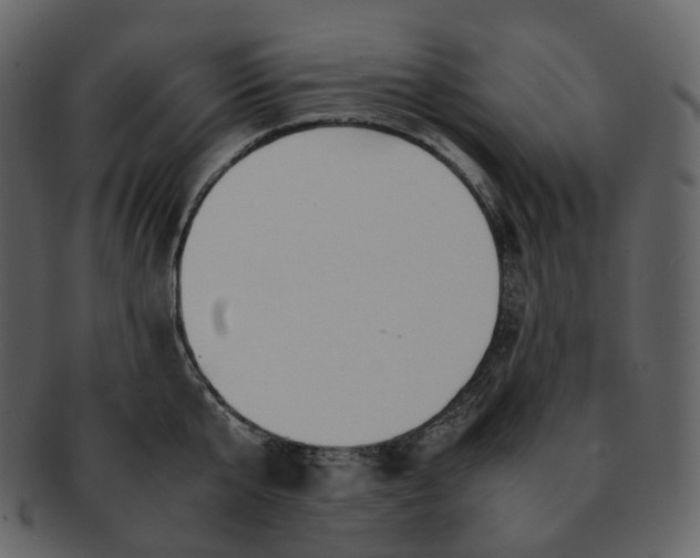 X0000092310807200710051237