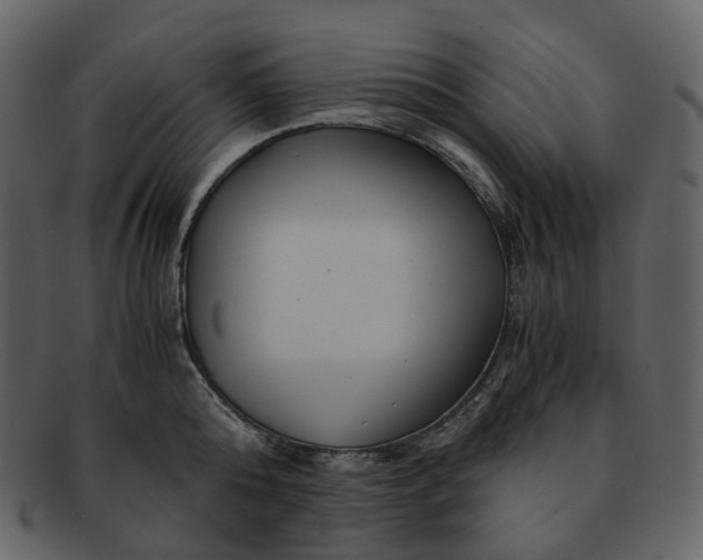 X0000092310808200710051237