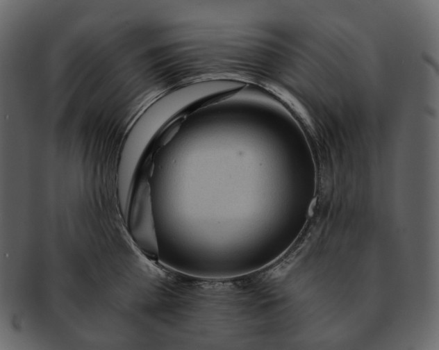 X0000092310809200710051237