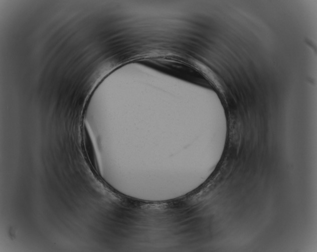 X0000092310810200710051237
