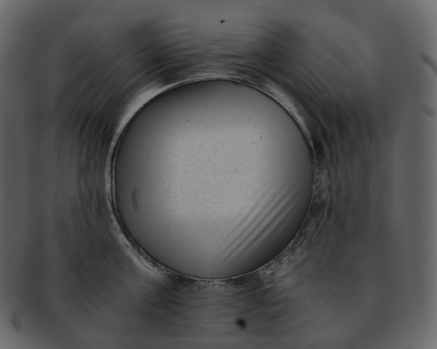 X0000092310811200710051237