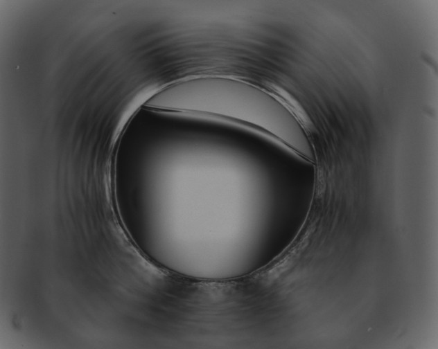X0000092310812200710051237