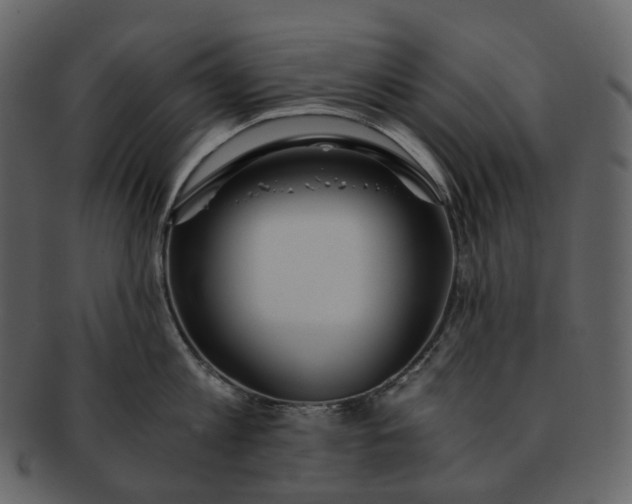 X0000092310813200710051237