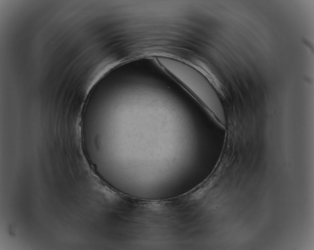 X0000092310814200710051237