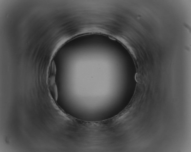 X0000092310815200710051237