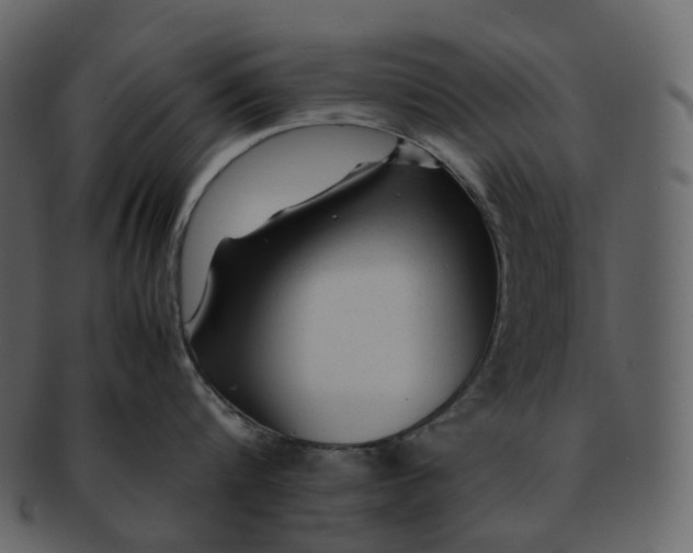 X0000092310816200710051237