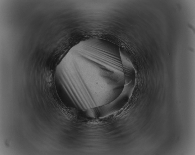 X0000092310818200710051237