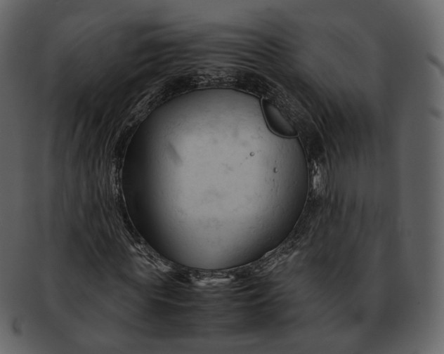 X0000092310819200710051237