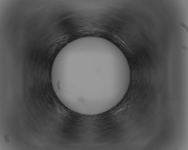 X0000092310820200710051237