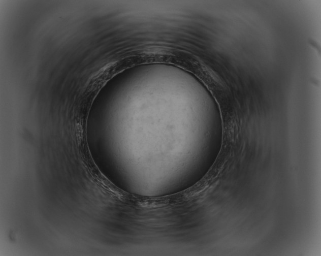 X0000092310821200710051237