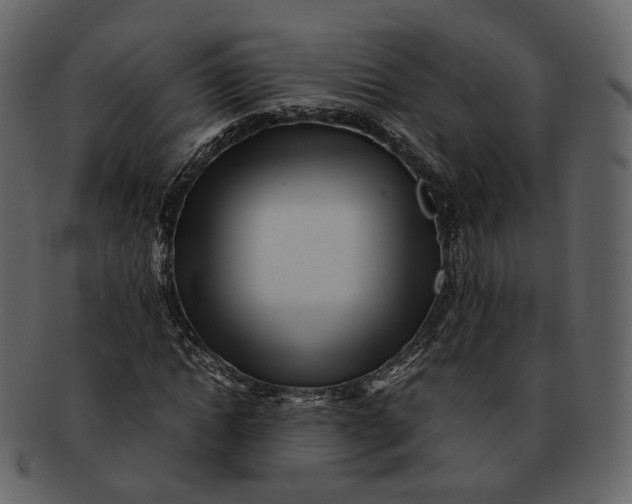 X0000092310822200710051237