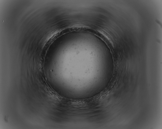 X0000092310823200710051237