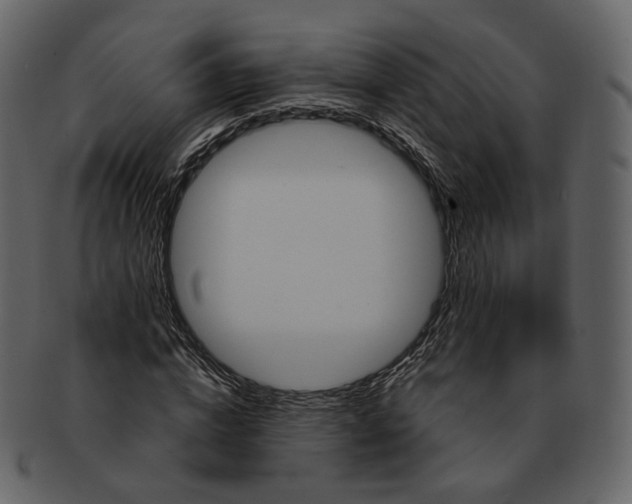 X0000092310824200710051237