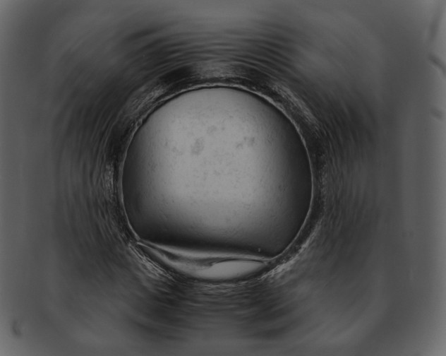 X0000092310825200710051237