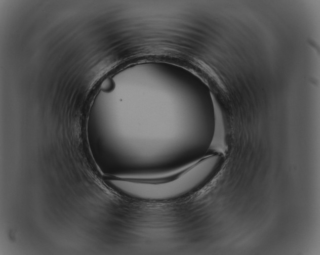 X0000092310826200710051237