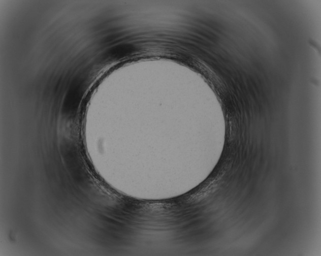 X0000092310828200710051237